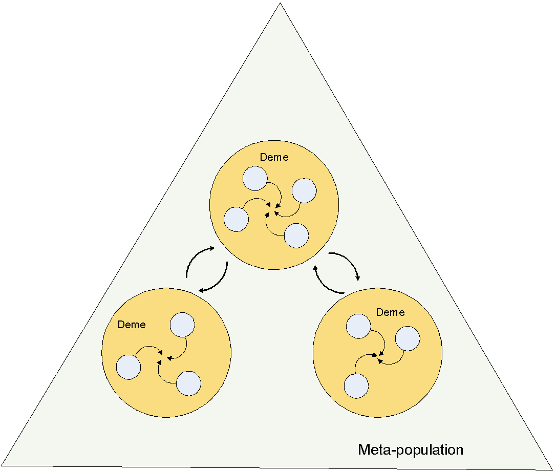Population structure defined in Biology